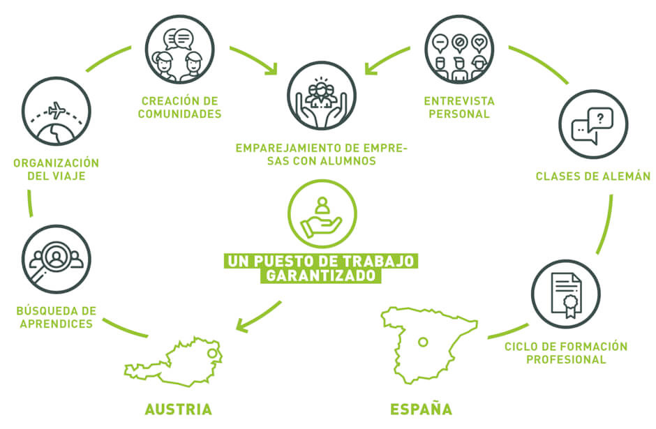 Flujo del programa Talents for Europe